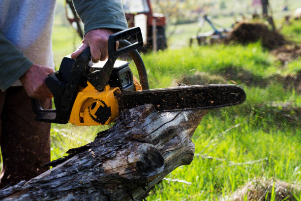 Landscape Design and Installation in North Yelm, WA