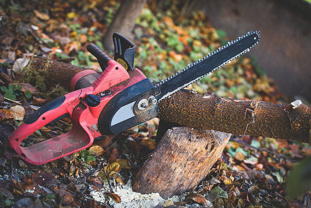 Best Pest Control for Lawns  in North Yelm, WA